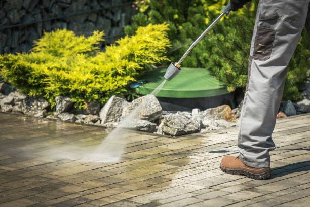 Animal Enclosure Cleaning in Bonny Doon, CA