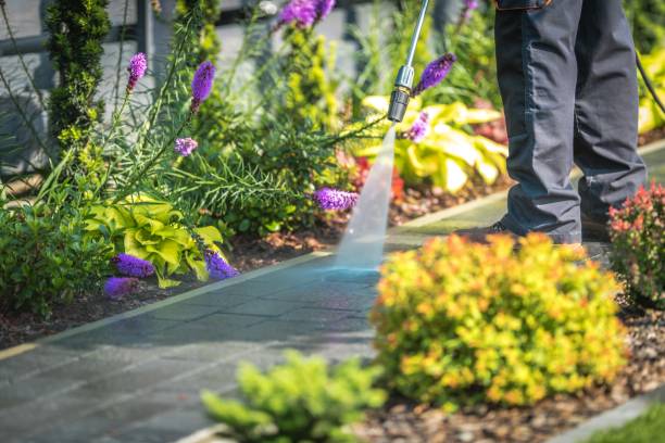 Best Dumpster Area Cleaning  in Bonny Doon, CA