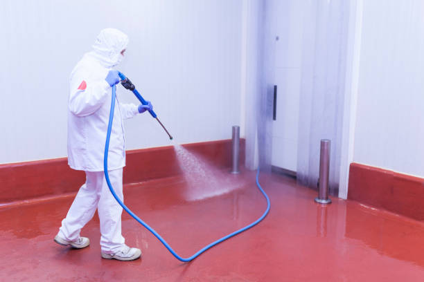 Trusted Bonny Doon, CA Pressure Washing Services Experts